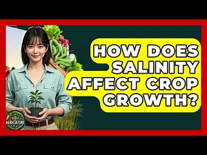 How Does Salinity Affect Crop Growth? - The World of Agriculture