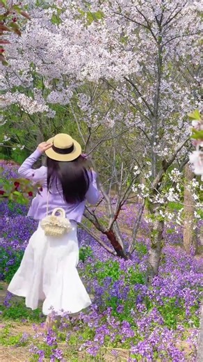 Spring Flower Photography | 春天与花拍照 #Shorts