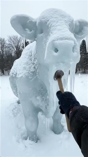 Frozen Wildlife Rescue That Will Shock You 😢