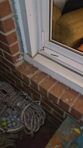 Praying Mantis Vs Spider #prayingmantis #spider #fight #dinner