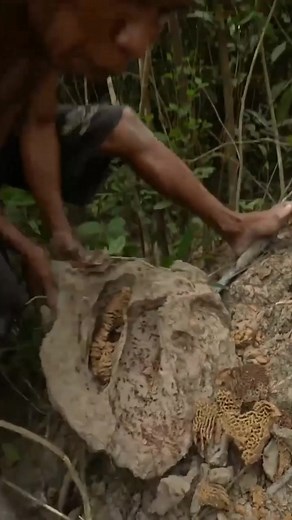 1.7K views · 29 reactions | Primitive Unique Tool on Reels | Facebook