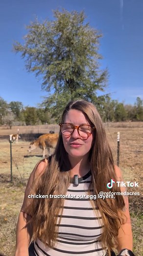 Building a Chicken Tractor: Flexibility and Savings