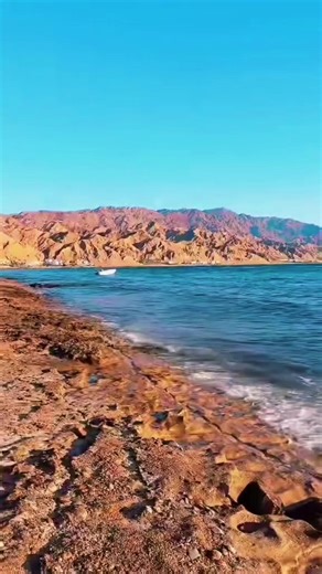 ‏@𝑨𝑯𝑴𝑬𝑫 💔