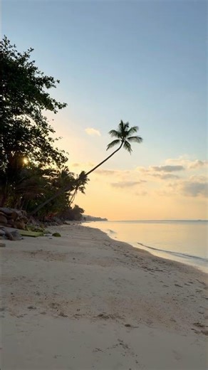 Wonderful Beach Feeling in Koh Samui 🌴☀️ (Thailand Paradise) #KohSamui