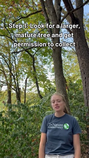 3.5K views · 64 reactions | Before you make that Buckeye necklace,...