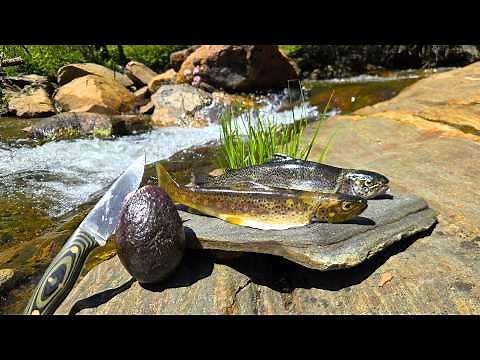 4000ft Up - Brown Trout and Rainbow Trout Catch and Cook