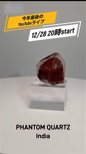 【年末ライブ告知12/28 20時〜】新着鉱物 約70点ご紹介｜石好きのための“2025年最後の日曜日夜”✨ #天然石 #ameri #minerals
