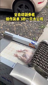 Automatic Meat Dicing Machine: From Whole Meat to Perfect Cubes in Seconds #shortvideos #shorts