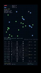 Building a Reinforcement Learning Rabbit in Python