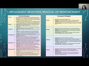 Behavior Training with Autism Learning Partners