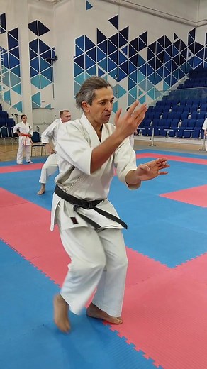 40 reactions · 3 comments | Sanseiryu 三十六 (サンセ－リュ－) kata Uechi ryu...