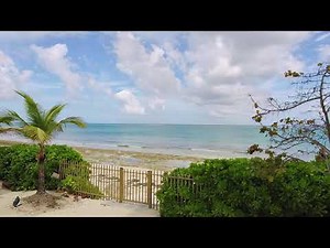 Love Beach Bahamas live cam