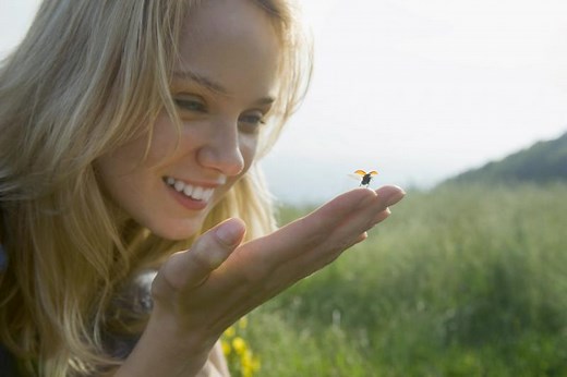 Are Ladybugs Good Luck? Understanding This Superstition | LoveToKnow