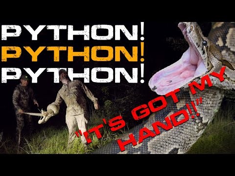 Python Sprays Nasty Musk In Kyle's Face! Funny Outtakes Burmese Python Hunting - Green Way Clips