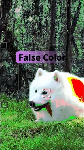 📸Eos R8 Fales Color Setting#FalseColor#Exposure#Zebra Display#camera setting#canon✅