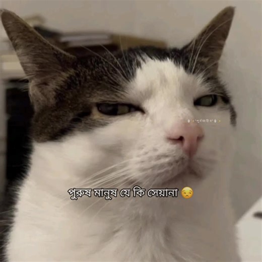 সত্যি টা বলার জন্য আপনাকে ধন্যবাদ হুজুর..!!🙂🙌