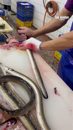 Perfect eel fillet technique done in seconds #eelfillet #sushiprep #knifework #viralfood