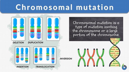 Chromosomal mutation - Definition and Examples - Biology Online Dictionary