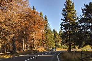 Easy Sixt Status Match With Airline & Hotel Programs