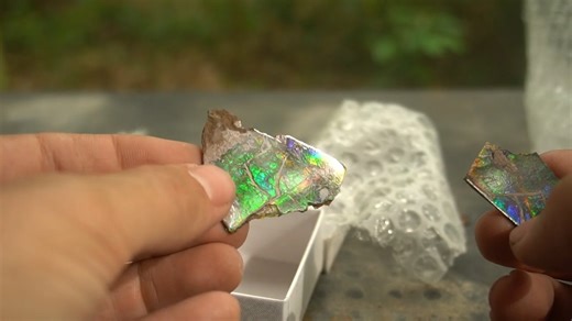 Dinosaur-aged fossils were only the start - the box ended with hand-carved shark teeth