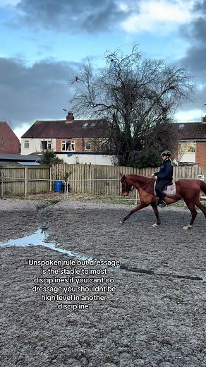 Understanding the Importance of Dressage in Equestrian Sports