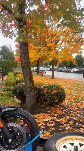 3 comments | Let’s ride on through the rain! We have a few of these Hunters left! $2999 plus fees and taxes - call Nick 604 330 9554 | International Motorsports Motorcycle Company | Facebook