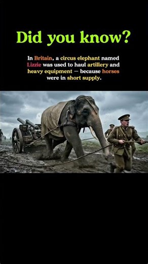 When Britain Used a Circus Elephant to Haul War Equipment