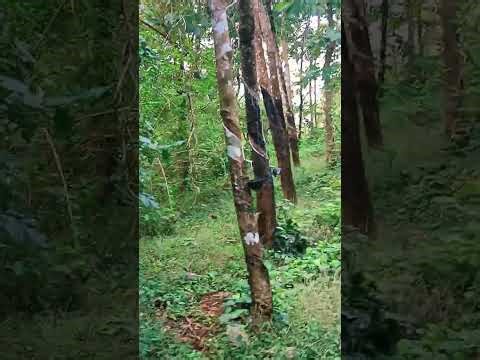 Contact on 9961601132