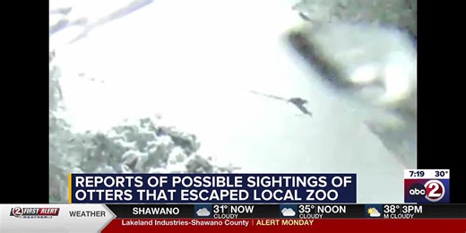 Action 2 News This Morning: LIVESTREAM - Monday, March 24, 2025