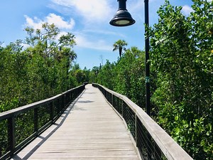 Gordon River Greenway in Naples, USA