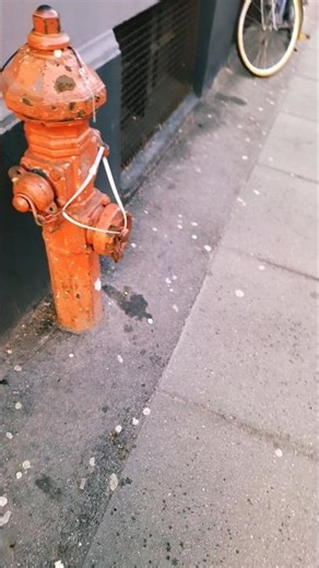 Fire hydrant loop #shorts #loop #fyp