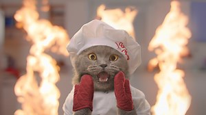 Play as Michael for a limited time in Animal Restaurant! http://bit.ly/ARAaronsAnimalsFB #AnimalRestaurant | Aaron's Animals