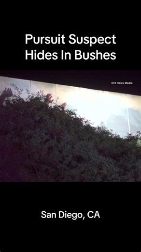 Suspect Runs on Freeway After Police Chase (Caught on Camera) 🚨 San Diego police pursuit ends with suspects running on the freeway and hiding in bushes before being taken into custody. 📍 3400 block of Florence Street 🕐 Jan. 7, 2026 | 1:25 a.m. According to SDPD, officers attempted a traffic stop near Mission Valley for a stop sign violation. The driver refused to stop, leading officers on a chase across I-8, I-805, and I-15. During the pursuit, a passenger was dropped off on the freeway and t