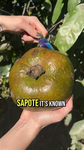 Top 5 Rarest Fruits in the World You’ve Never Seen Before! 🍇💙 #RareFruits #FoodFacts #WeirdFoods