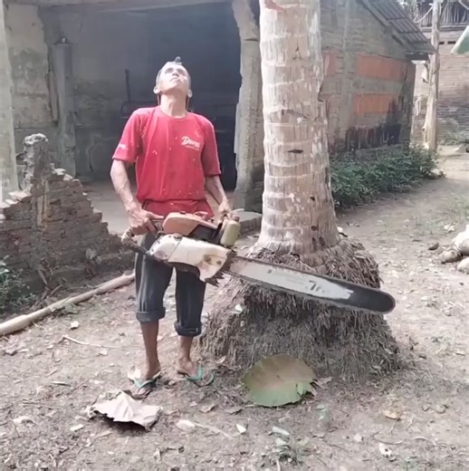 amazing cutting skills | Amazing Life Channel