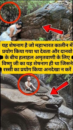 विष्णु जी के ऊपर है शेषनाग #vishnu #vishnumantra #vishnupuran#viral #shorts #trending #like