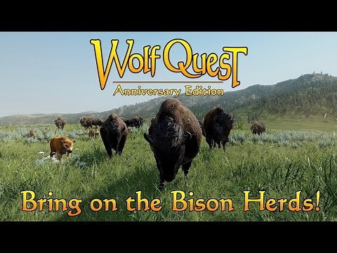 Bring on the Bison Herds!