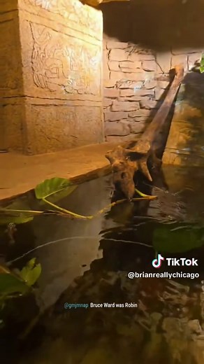 Exploring Moody Gardens in Galveston, Texas
