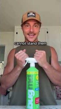 In midst of the ticks, comment BugMD to eliminate them!