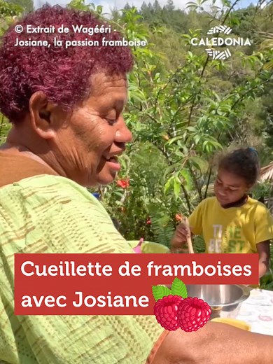Josiane and Cédric Tyea: Harvesting Raspberry with Family | Sharing Traditions | New Caledonia