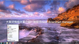 Neat download manager NDM 下载工具