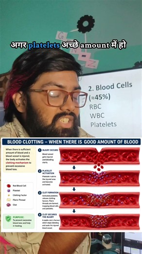 🩸 Platelets Explained in 60 Seconds! | Blood Clotting | Class 10 Biology #Shorts