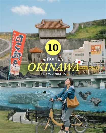 10 ที่เที่ยว Okinawa 3วัน2คืน 🇯🇵🐋 พามาเที่ยวแบบสโลว์ไลฟ์ ดูฉลามวาฬที่ทะเลใต้ของญี่ปุ่นกันน . โอกินาว่าเป็นเมืองตอนใต้ของญี่ปุ่นนะ ใช้เวลาบินจากไทยประมาณ 4 ชั่วโมงกว่าๆ ที่เราชอบคือโอกินาว่าเค้ามีทั้ง ทะเลสีฟ้าใส น้องฉลามวาฬยักษ์ และวัฒนธรรม ที่มีเอกลักษณ์มากๆ ที่สำคัญคือ วิวธรรมชาติของที่นี่สวยจริงๆ แถมโอกินาว่ายังมีปราสาท Shuri castle ที่ได้ขึ้นทะเบียนเป็นมรดกโลกจาก Unesco ด้วยนะะ . ทริปนี้พวกเราขับรถเที่ยวรอบเกาะโอกินาว่า บอกเลยว่าที่นี่ทั้งน่ารักแล้วก็เที่ยวสนุกสุดๆ ยิ่งใครที่ไปครั้งแรกยัง