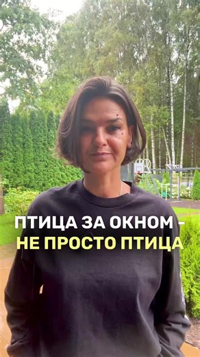 Птица за окном не просто птица — объяснение смысла