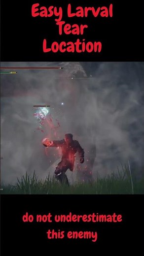 Elden Ring: Easy Larval Tear Location
