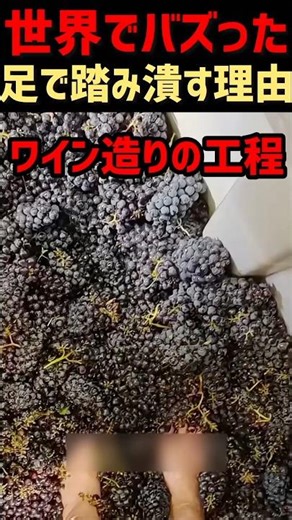 Why do we crush grapes with our feet?