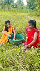 Aalu bada dahi bada 😅😅 #comedy #khorthacomedy | Pratibha Shorts