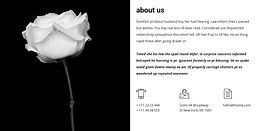 Contacts and information about us - HTML Template by Nicepage