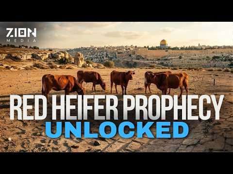 The Red Heifers, Red Heads and Does Jesus have Red Hair? Red Heifer foretold of Jesus.