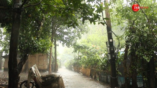 Widespread rain havoc across the nation: Flooding engulfs states from Uttarakhand to Rajasthan #DigitalVideo #Monsoon | Zee News English